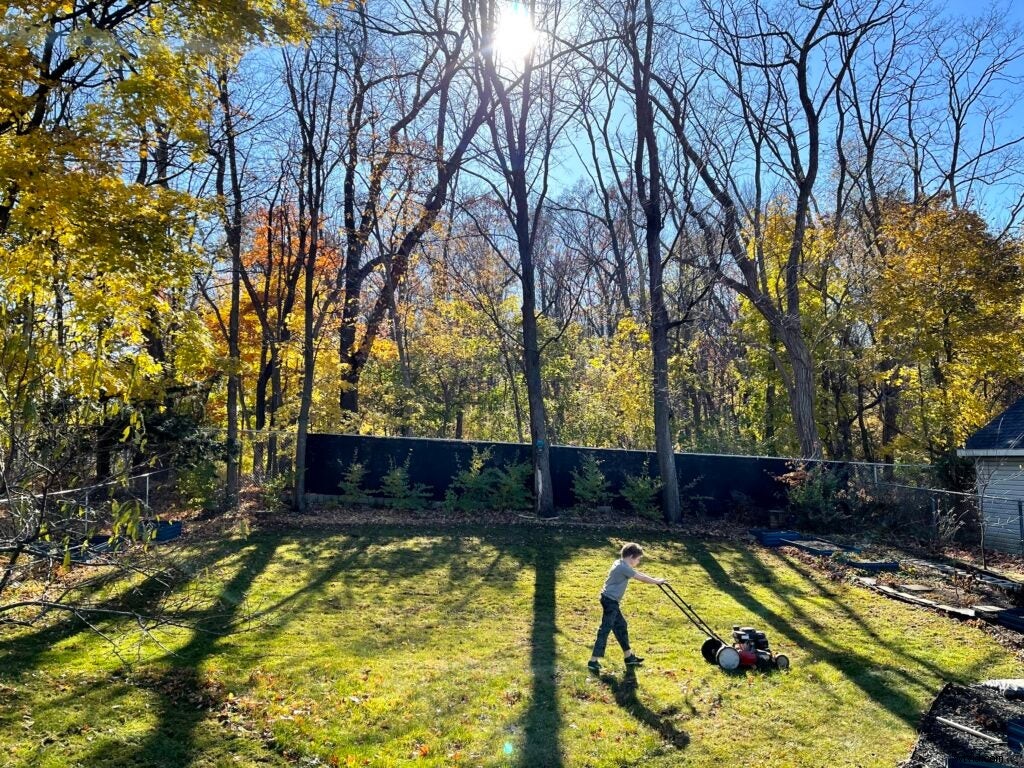 iPhone 12 Pro Max: Why Its Revolutionary Camera Makes It Worth Every Penny