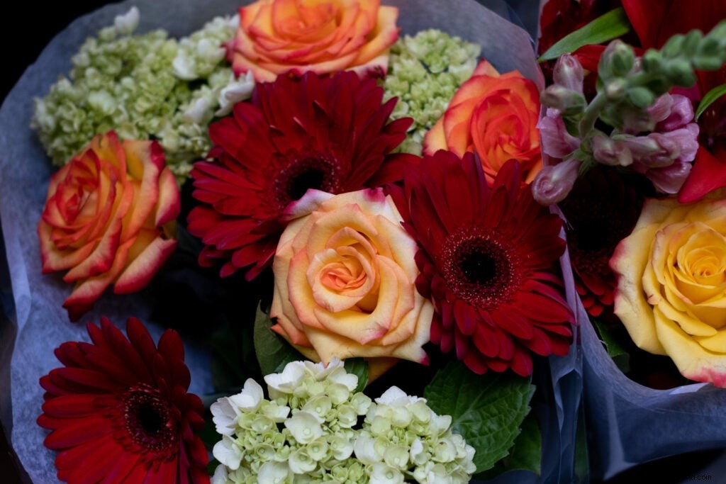 Fujifilm X-T4 Mirrorless Camera: First Hands-On Shots and Impressions