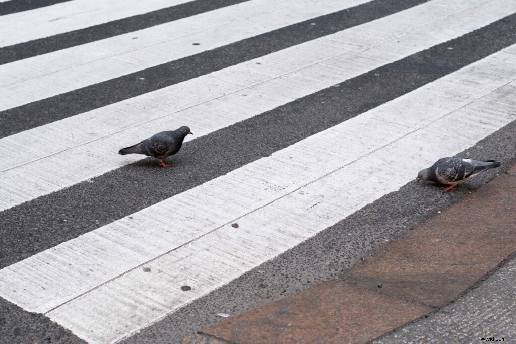 Fujifilm X-T4 Mirrorless Camera: First Hands-On Shots and Impressions