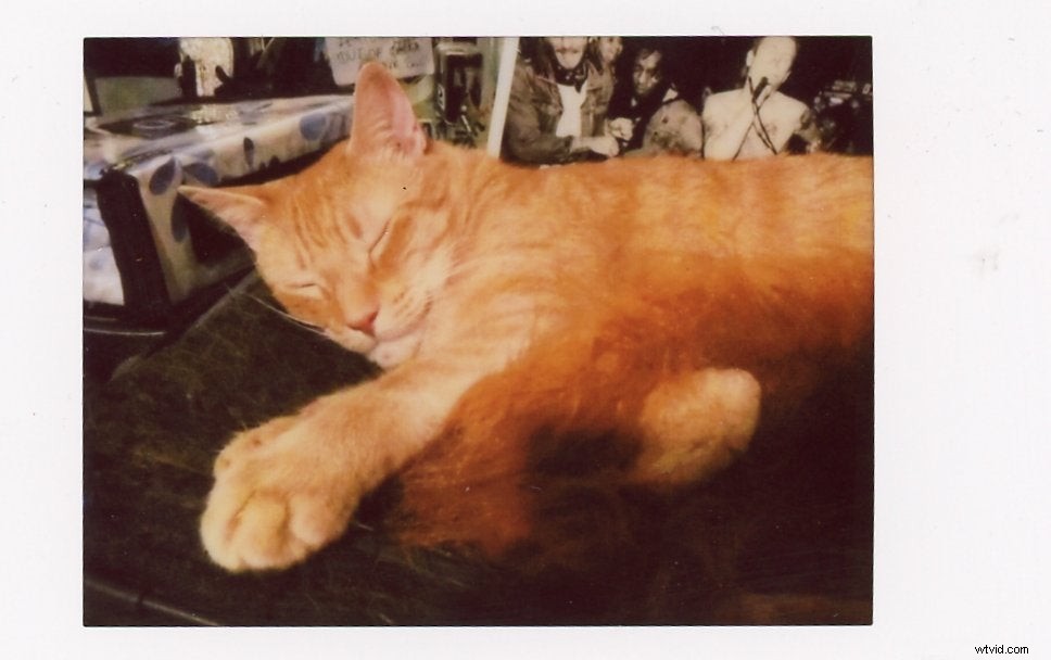 Fujifilm Instax Mini Evo Hybrid Review: The Ultimate Digital Instant Camera