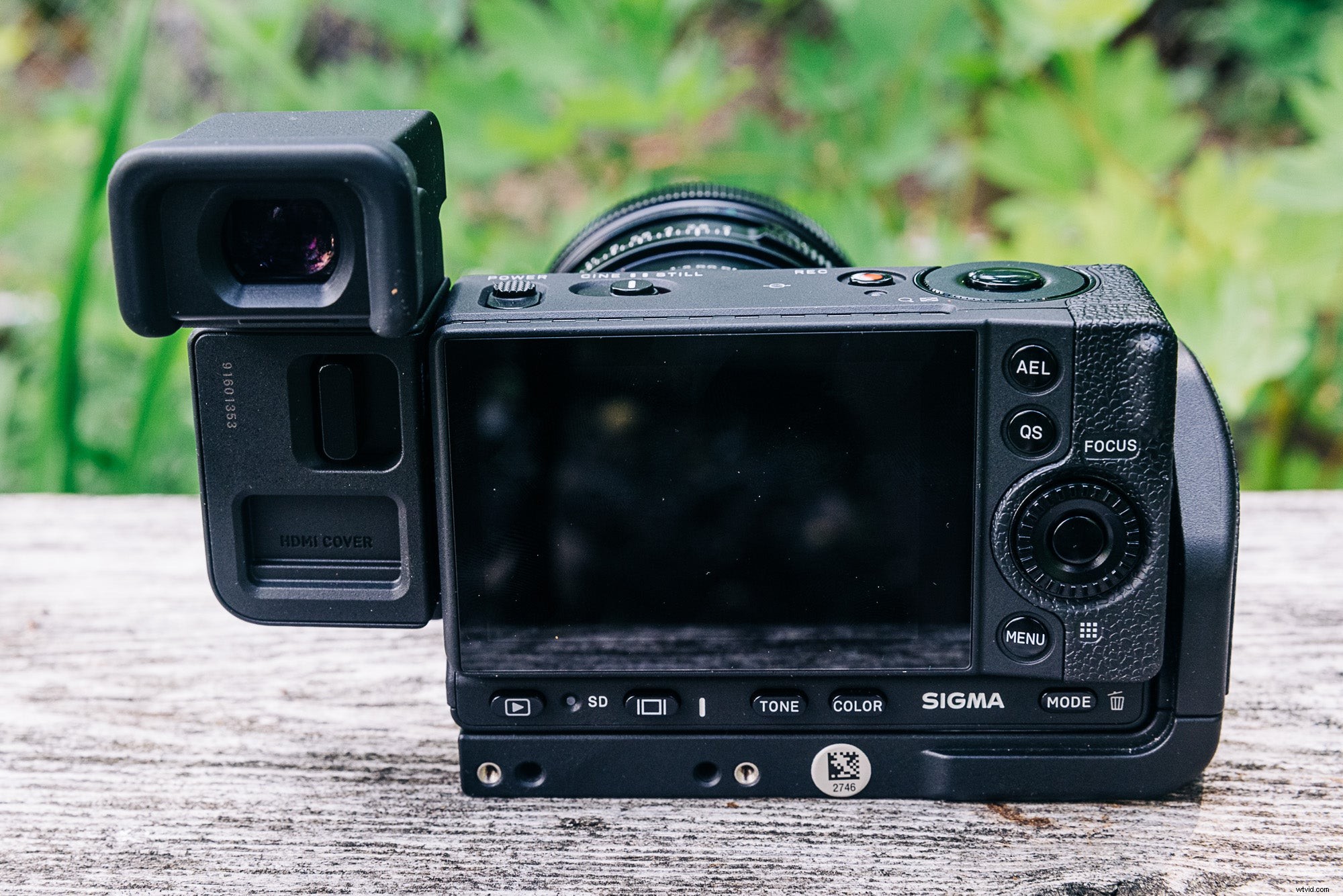 Sigma fp L Review: Compact Full-Frame Marvel with Stunning Image Quality