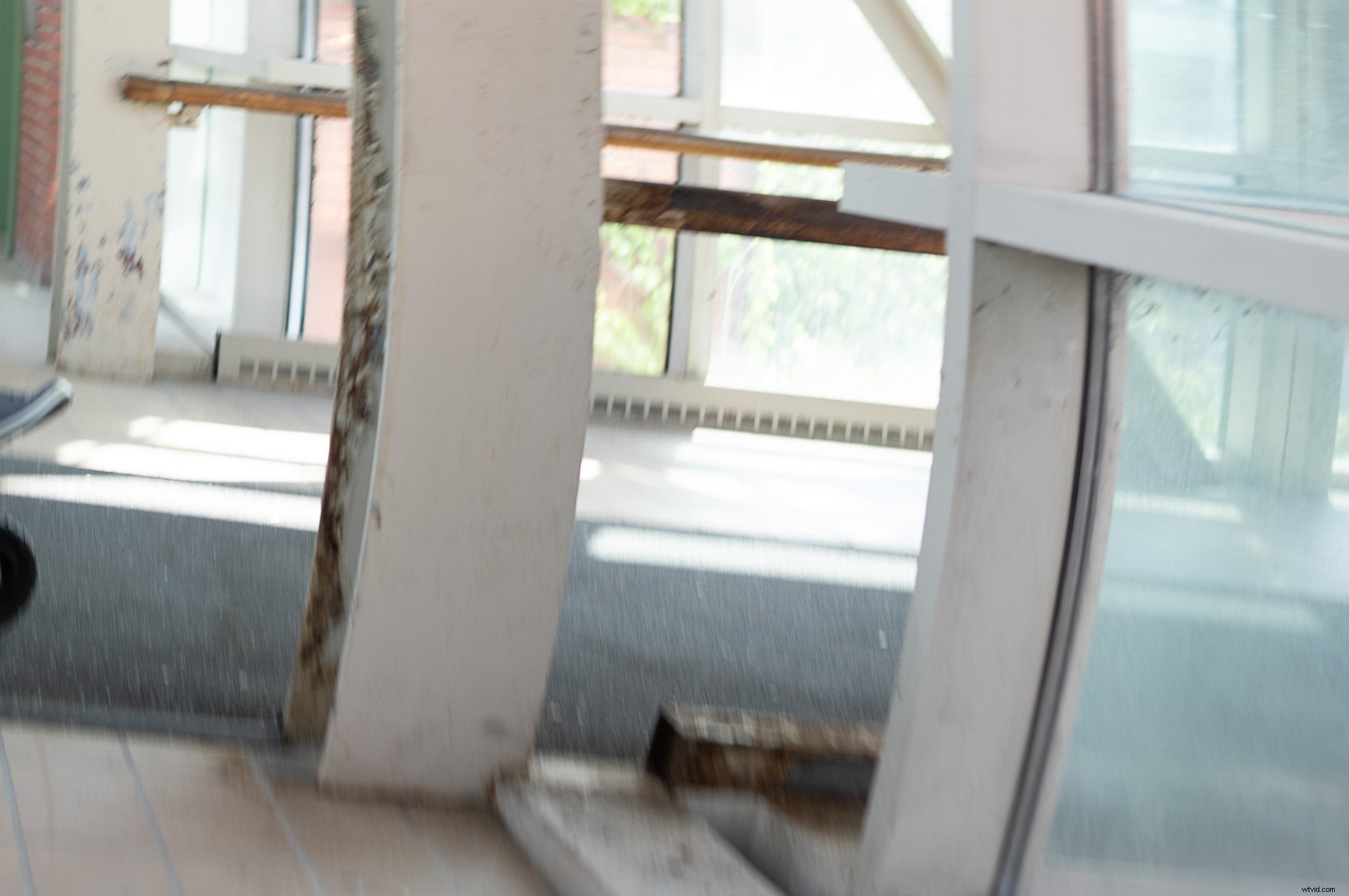 Sigma fp L Review: Compact Full-Frame Marvel with Stunning Image Quality