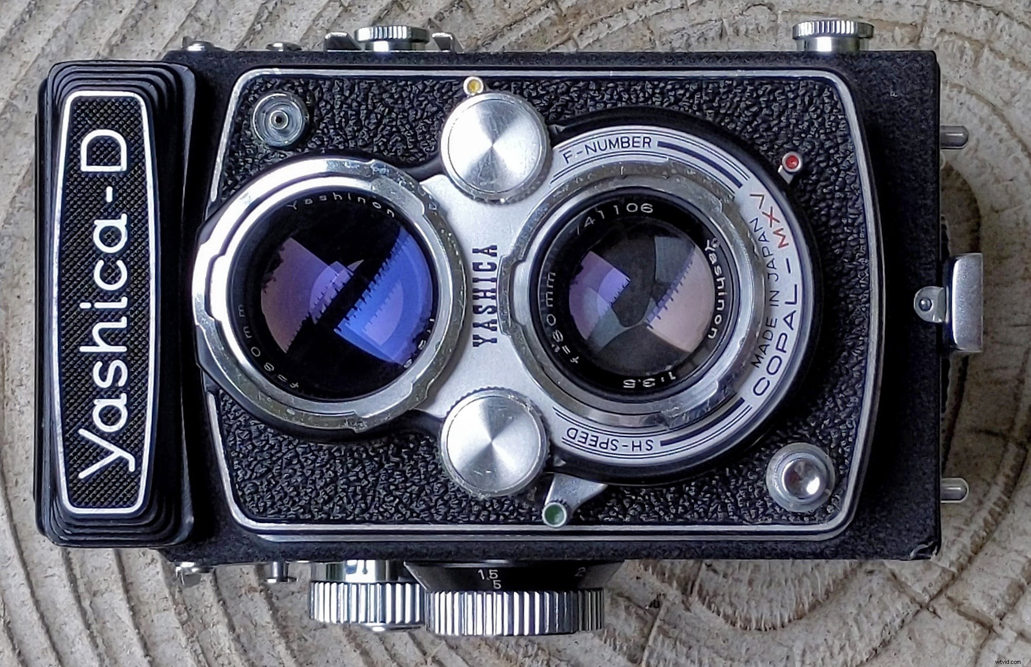 10 Affordable Film Camera Alternatives to Expensive Classics