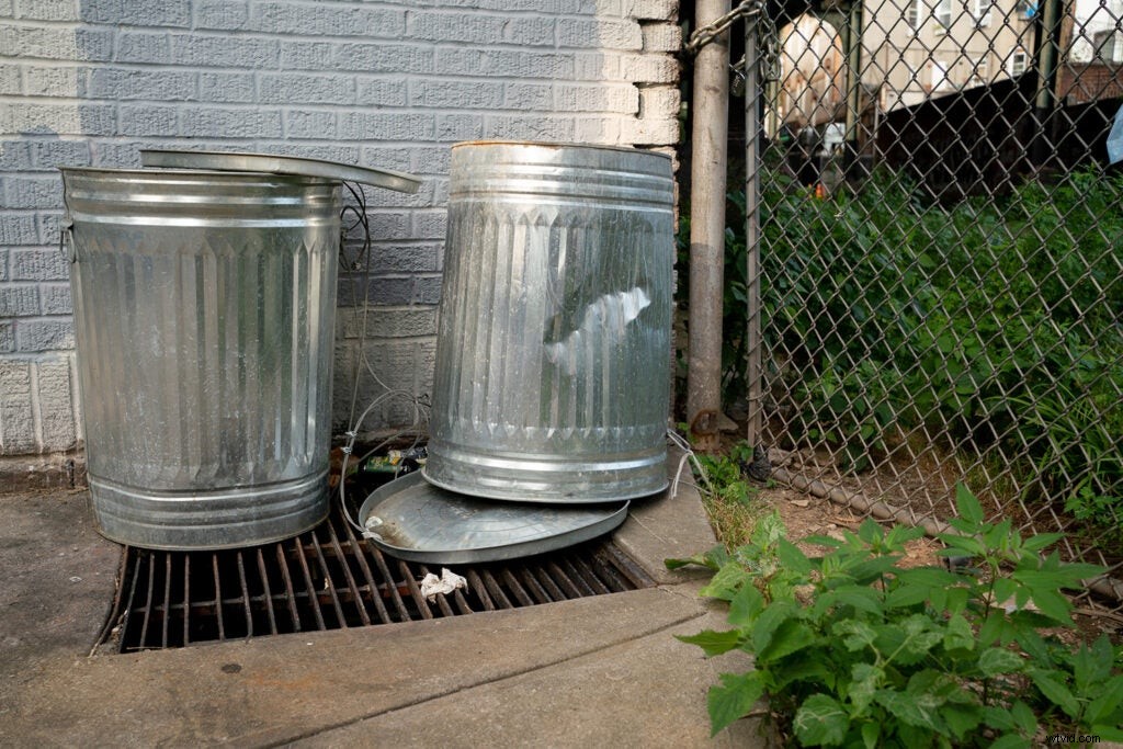 Sony FE 35mm f/1.8 Prime Lens Review: Hands-On Impressions and Sample Images