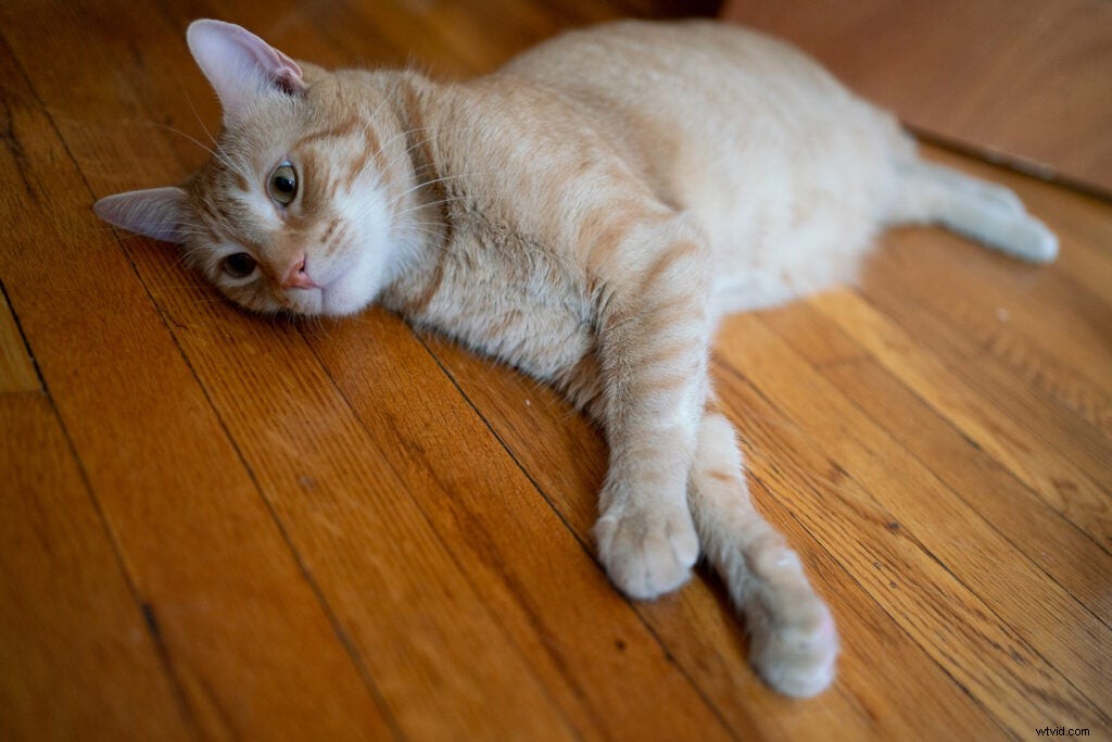 Sony FE 35mm f/1.8 Prime Lens Review: Hands-On Impressions and Sample Images