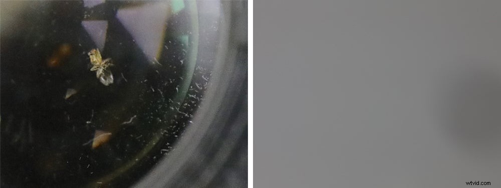 Dead Fly Trapped in 70-200mm Weather-Sealed Lens: Lens Rentals Reveals Minimal Image Quality Impact