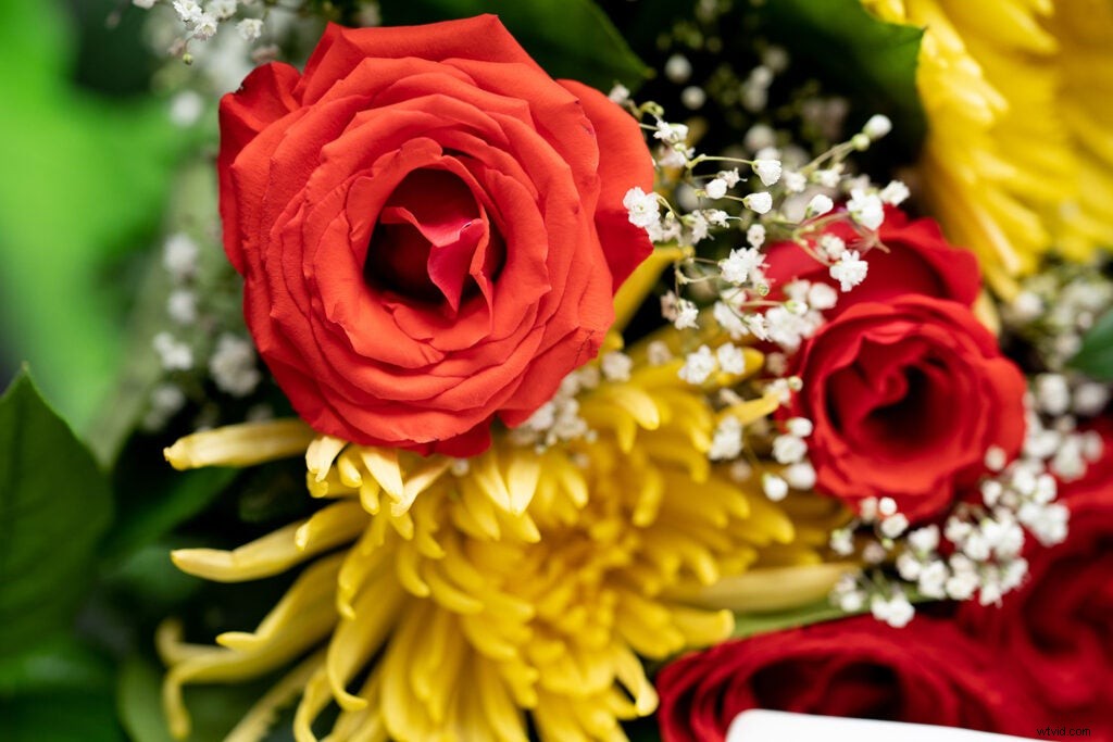 Sony FE 135mm f/1.8 GM Lens: Hands-On Review with Stunning Sample Images