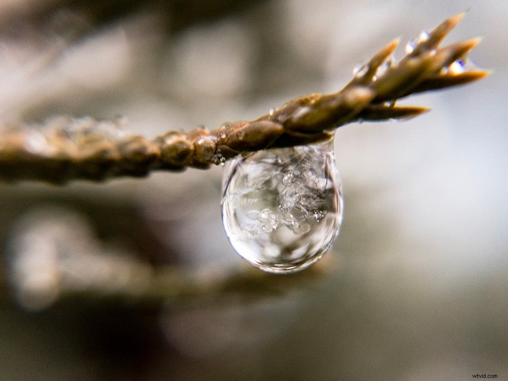 Olloclip Core Lens Set Review: Boost iPhone 7 & 7 Plus Photography