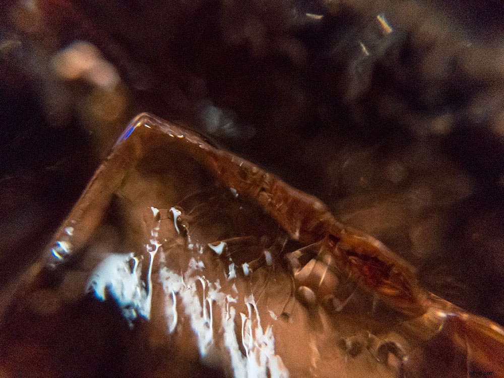 Olloclip Core Lens Set Review: Boost iPhone 7 & 7 Plus Photography