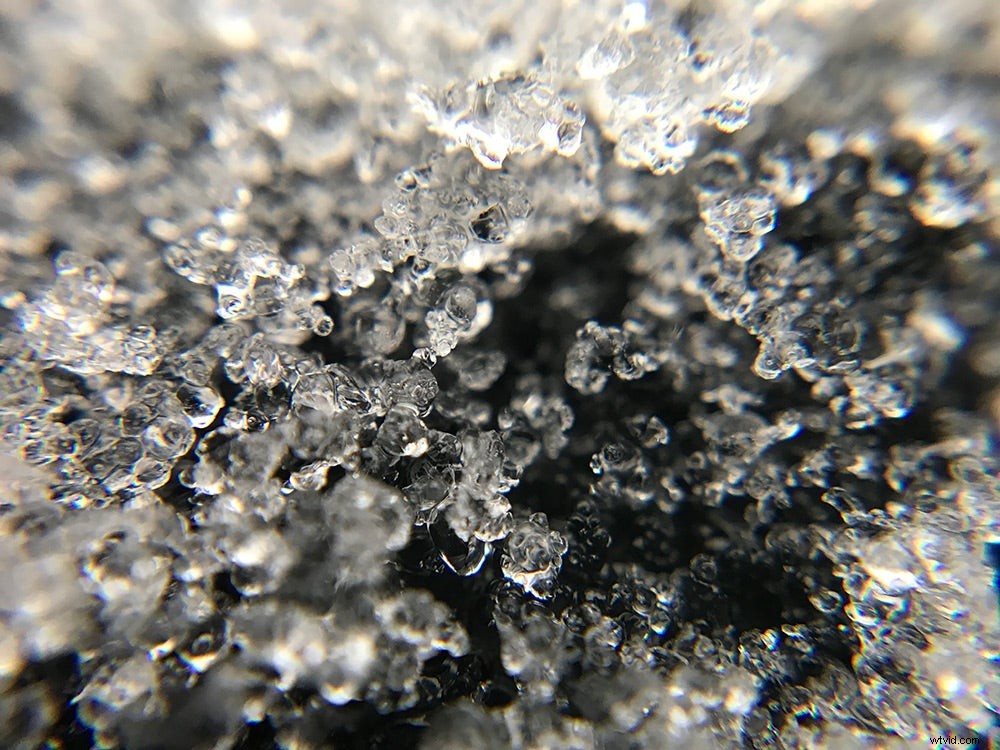 Olloclip Core Lens Set Review: Boost iPhone 7 & 7 Plus Photography