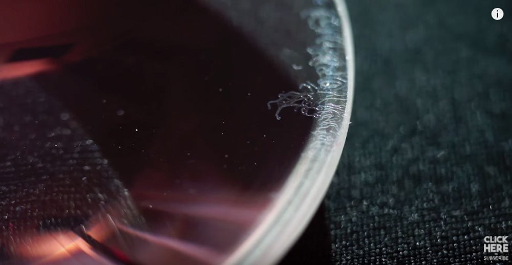 Expert Guide: How to Safely Remove Fungus from Vintage Camera Lenses