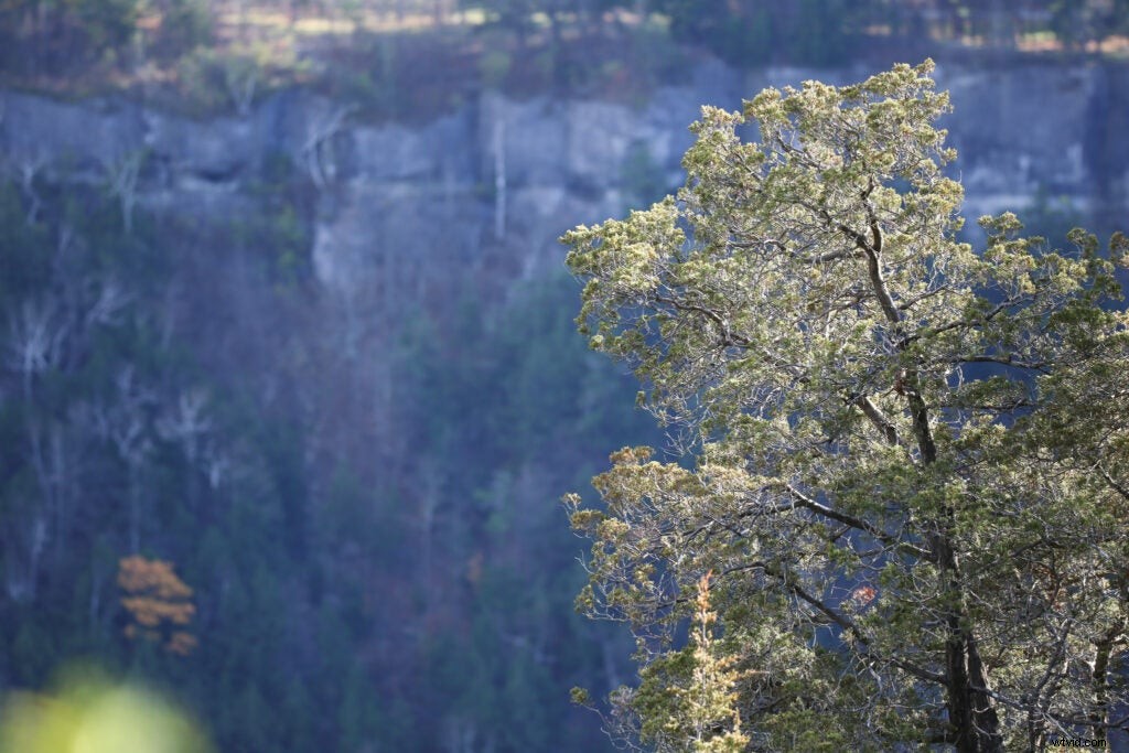 Hands-On Review: Tamron SP 150-600mm f/5-6.3 Di VC USD G2 – Super-Telephoto Excellence