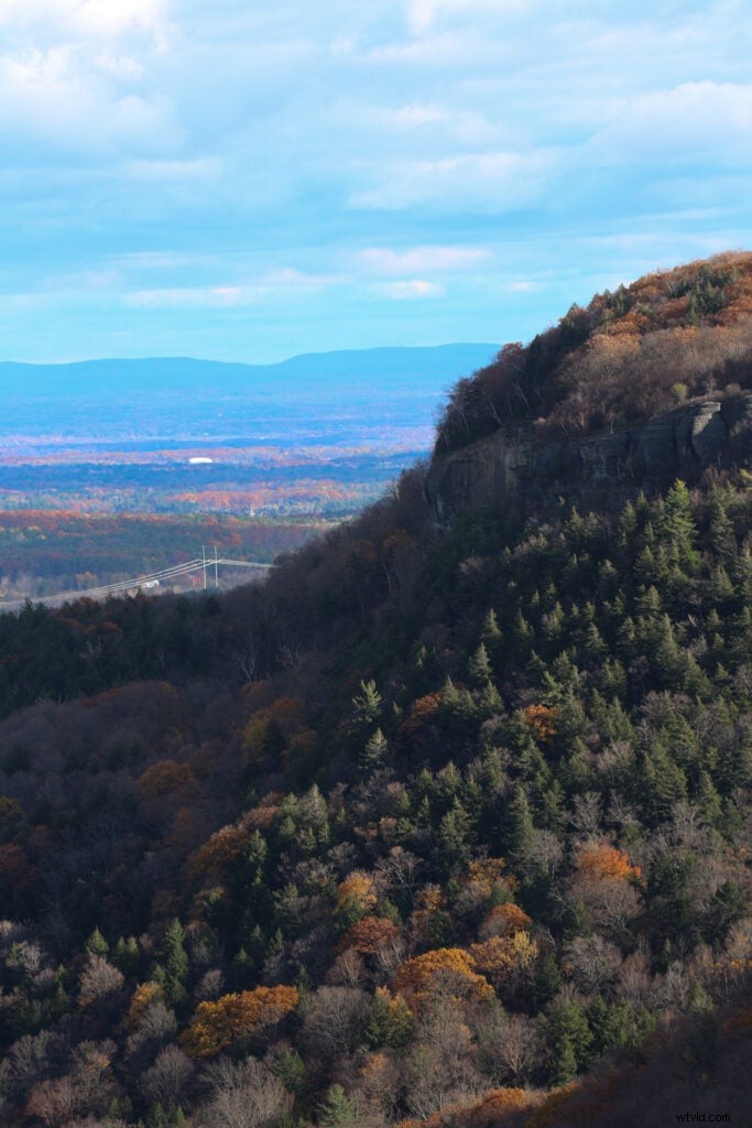 Hands-On Review: Tamron SP 150-600mm f/5-6.3 Di VC USD G2 – Super-Telephoto Excellence