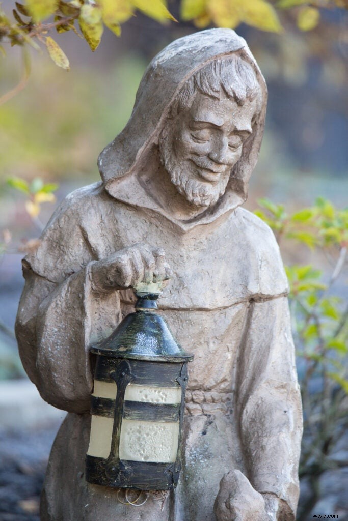 Hands-On Review: Tamron SP 150-600mm f/5-6.3 Di VC USD G2 – Super-Telephoto Excellence