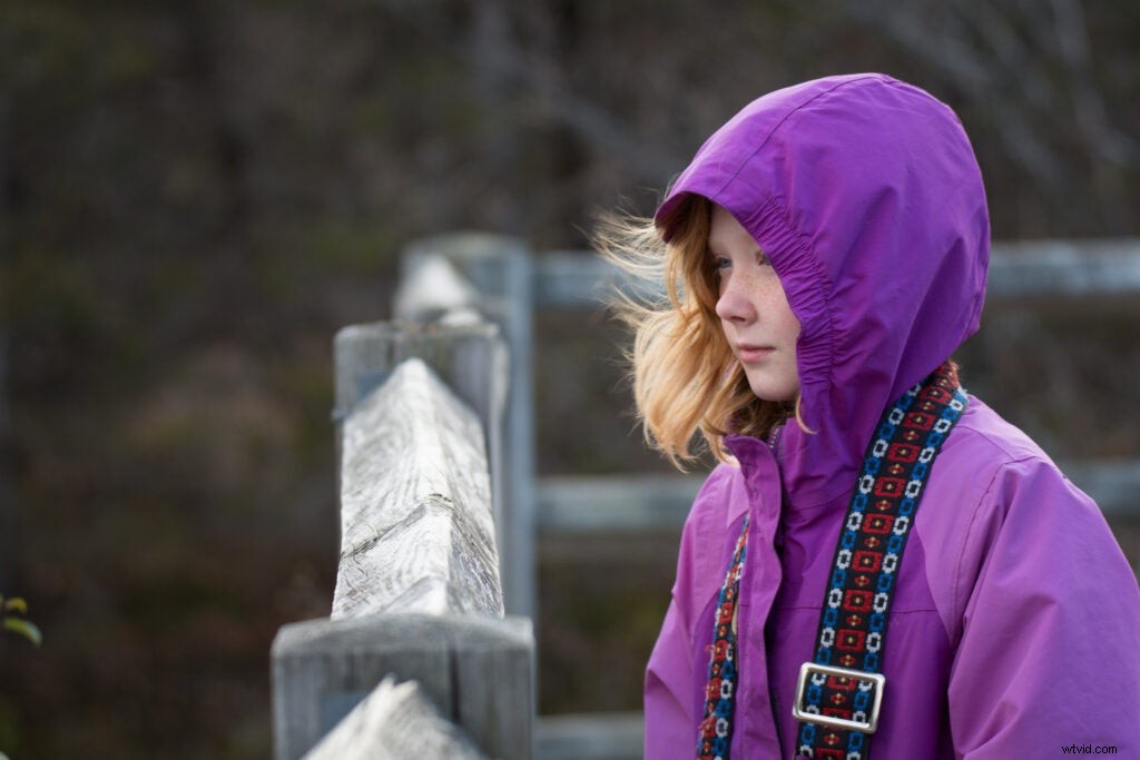 Hands-On Review: Tamron SP 150-600mm f/5-6.3 Di VC USD G2 – Super-Telephoto Excellence