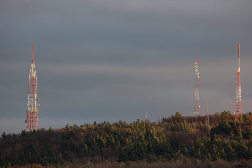 Hands-On Review: Tamron SP 150-600mm f/5-6.3 Di VC USD G2 – Super-Telephoto Excellence