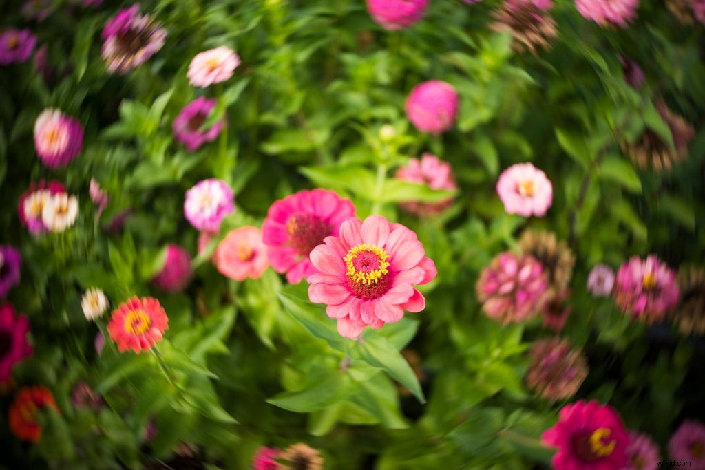 Lensbaby Trio 28: Three Selective Focus Effects (Twist, Velvet, Sweet) on a Rotating Mount