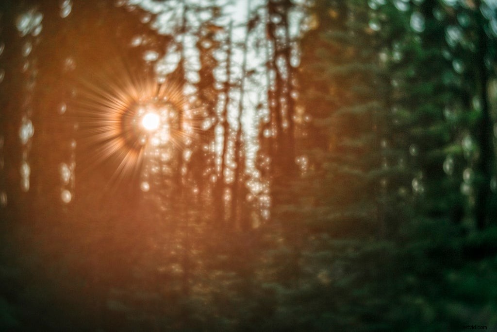 Lensbaby Trio 28: Three Selective Focus Effects (Twist, Velvet, Sweet) on a Rotating Mount