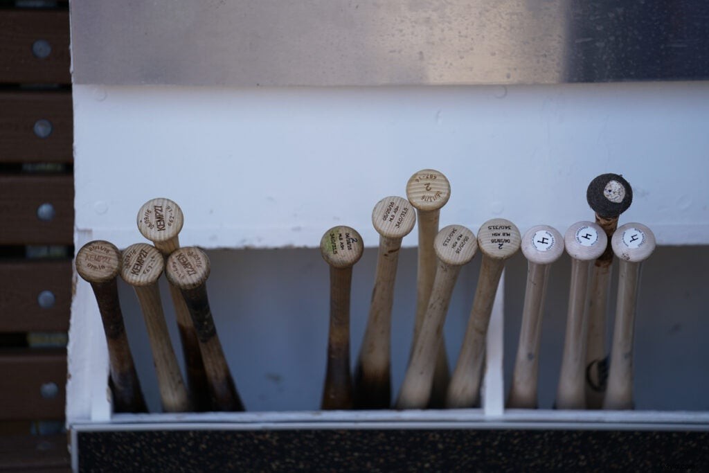 First Impressions: Sony FE 70-200mm f/2.8 GM OSS G Master Lens with 2x Teleconverter