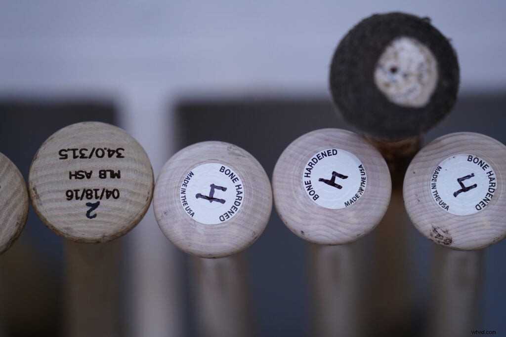 First Impressions: Sony FE 70-200mm f/2.8 GM OSS G Master Lens with 2x Teleconverter