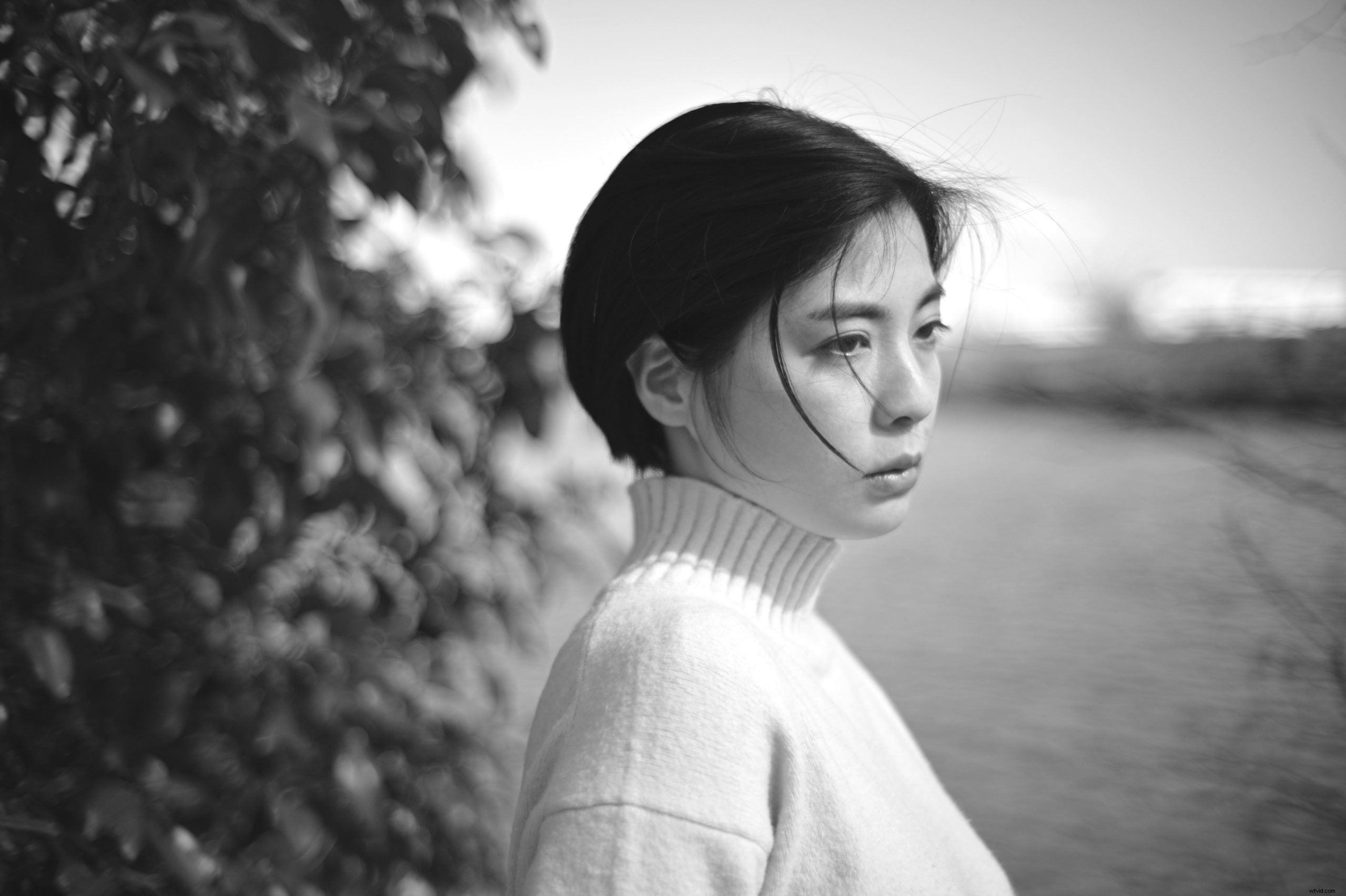 Cosina Nokton 35mm f/1.2 Lens for Nikon Z-Mount APS-C: Manual Focus with Full Electronic Control