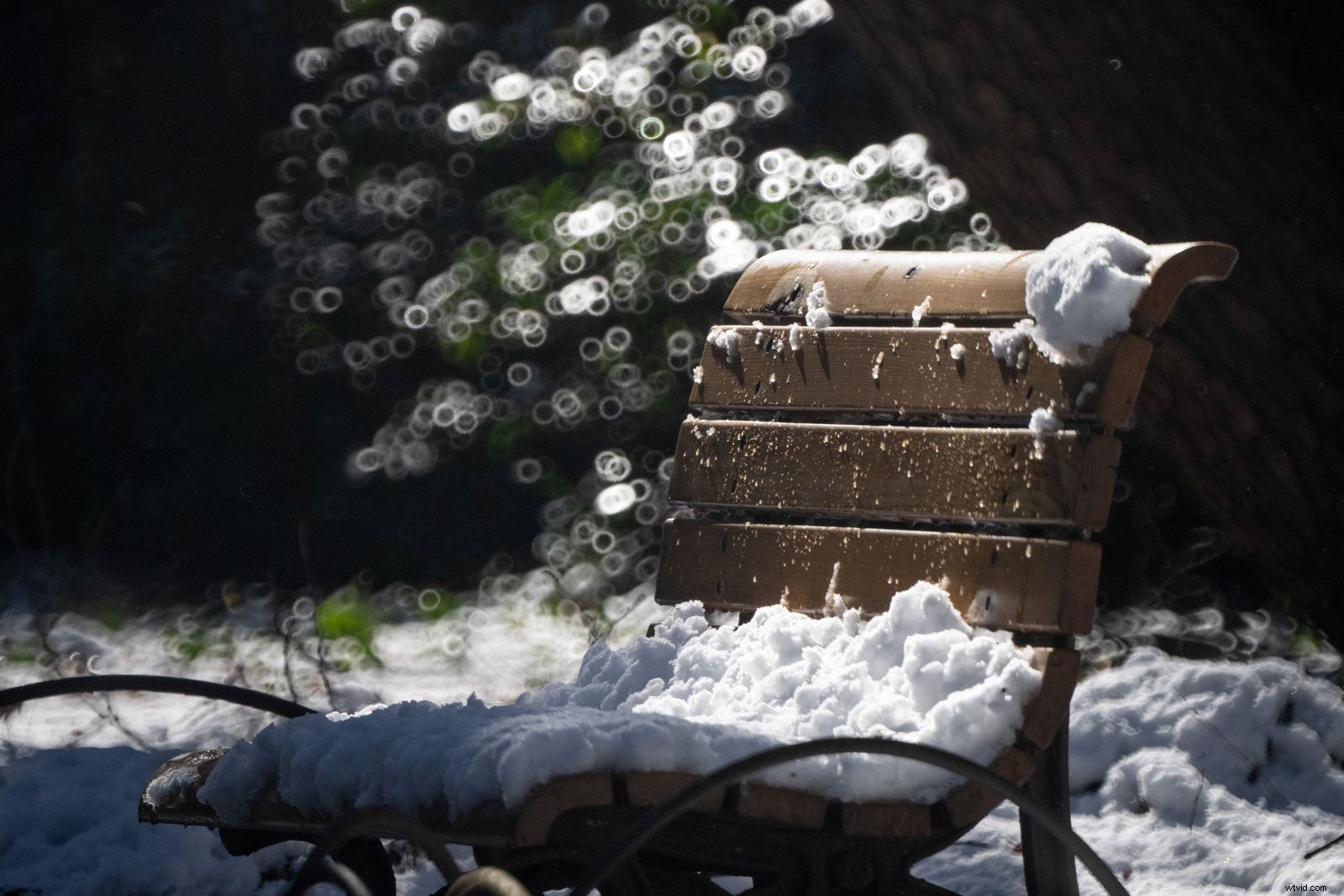 Tokina SZ Super Tele 500mm f/8 Reflex MF Mirror Lens: Coming Soon in Multiple Mounts