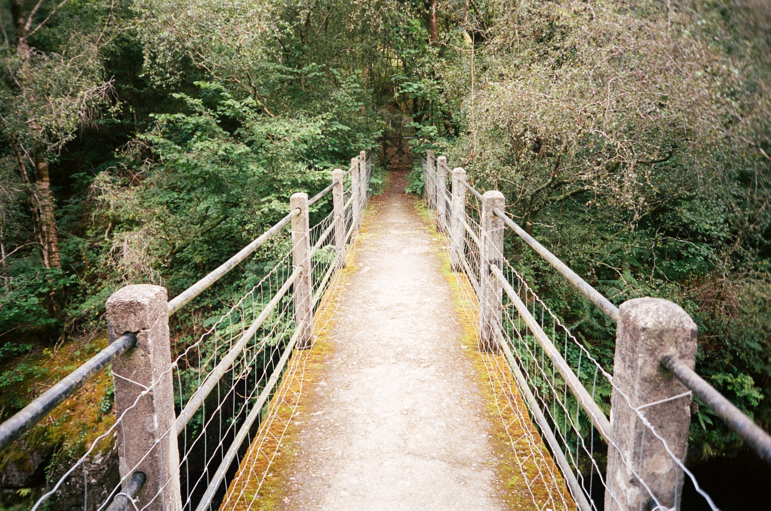 Omnar 26mm f/6 Fixed-Aperture Lens for Leica M-Mount: Stunning Sample Gallery