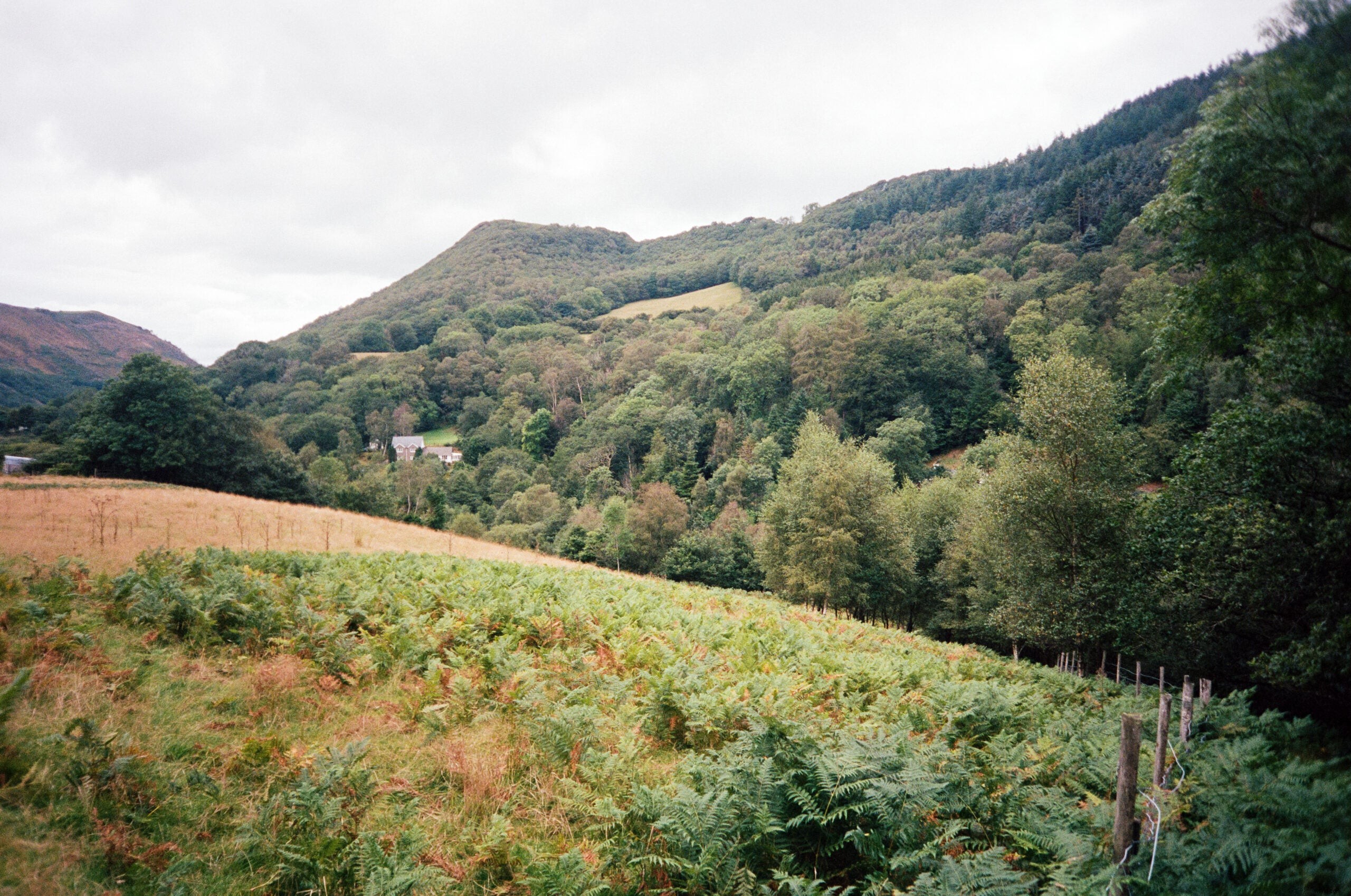 Omnar 26mm f/6 Fixed-Aperture Lens for Leica M-Mount: Stunning Sample Gallery