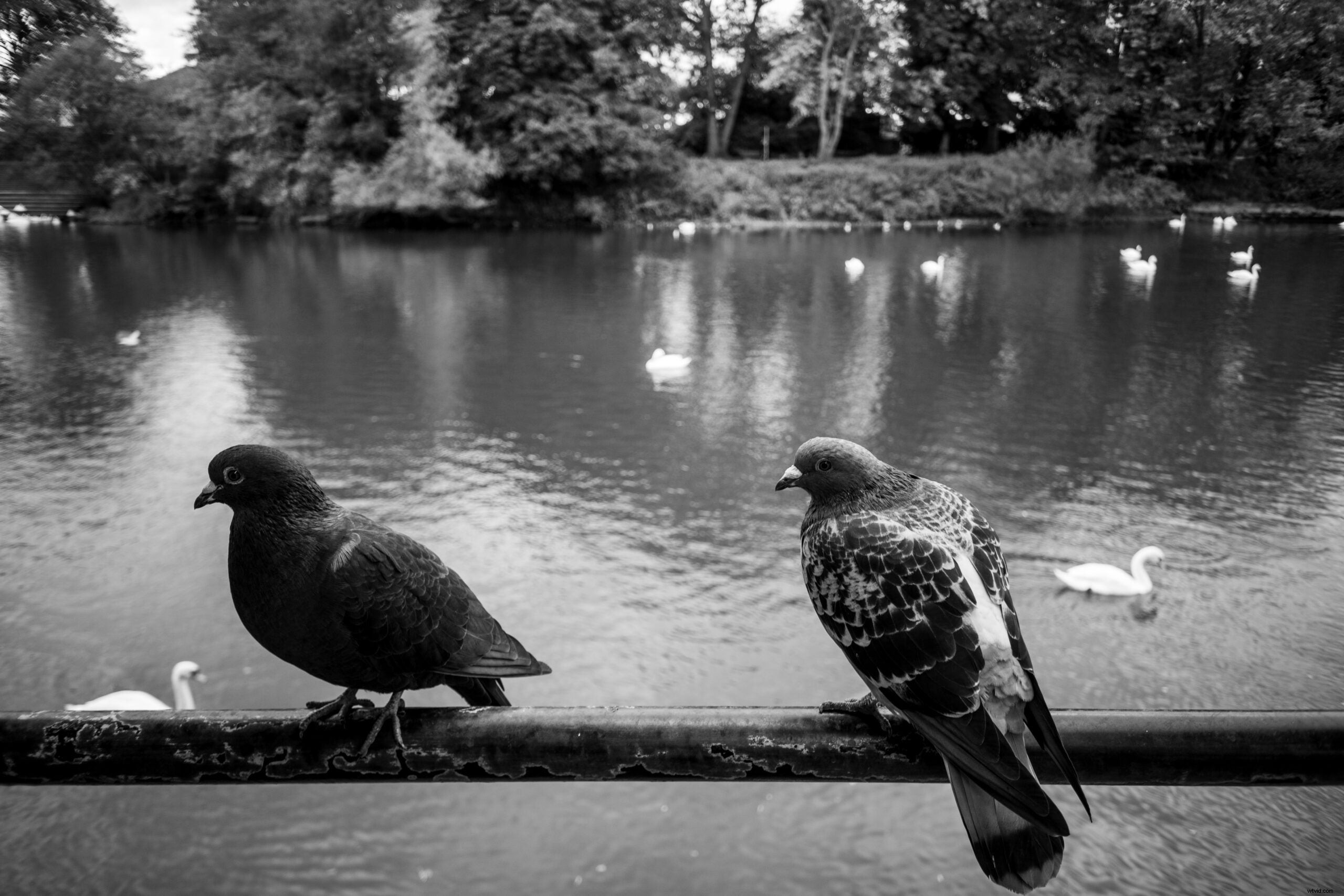 Omnar 26mm f/6 Fixed-Aperture Lens for Leica M-Mount: Stunning Sample Gallery