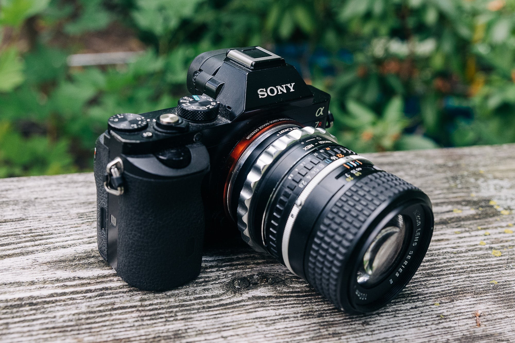How to Adapt Vintage Lenses to Mirrorless & DSLR Cameras: Complete Guide