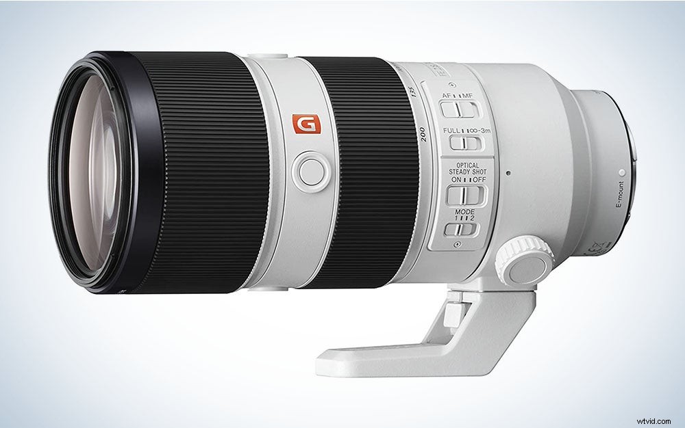 Best Telephoto Lenses of 2022: Top Picks for Portraits, Wildlife & Sports