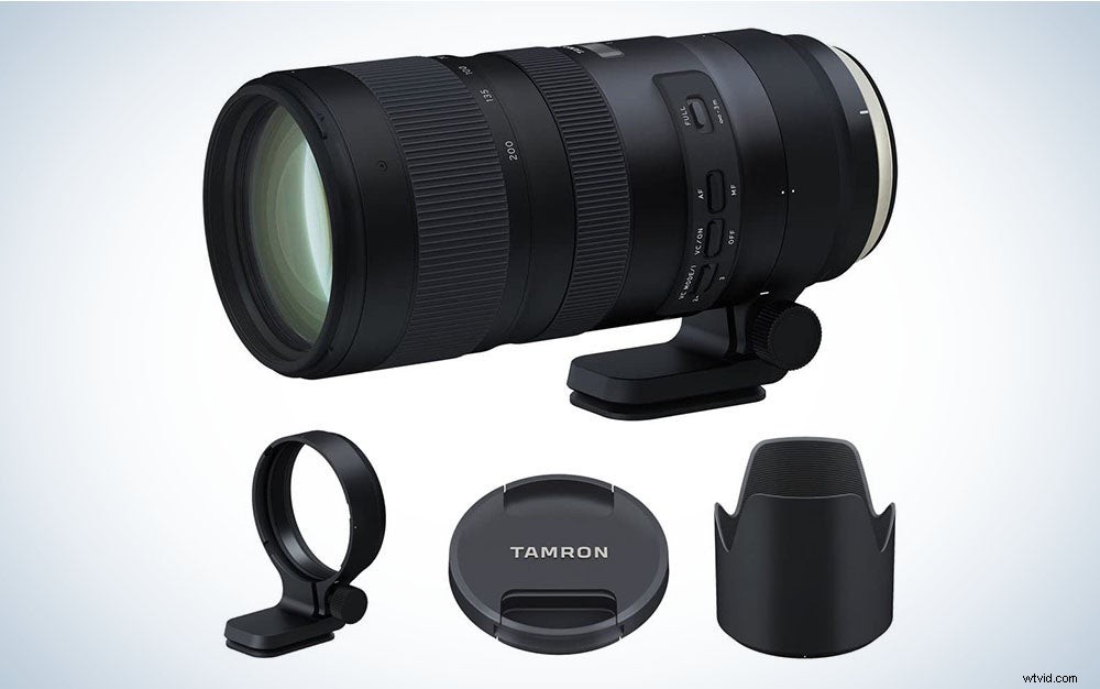 Best Telephoto Lenses of 2022: Top Picks for Portraits, Wildlife & Sports