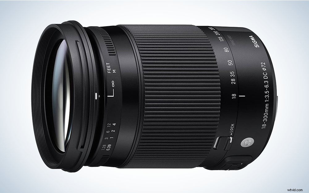 Best Telephoto Lenses of 2022: Top Picks for Portraits, Wildlife & Sports