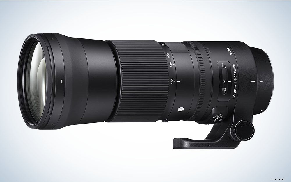 Best Telephoto Lenses of 2022: Top Picks for Portraits, Wildlife & Sports