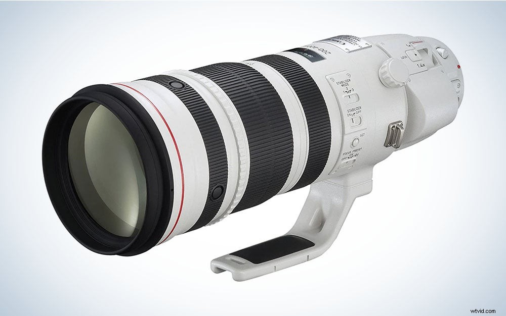 Best Telephoto Lenses of 2022: Top Picks for Portraits, Wildlife & Sports