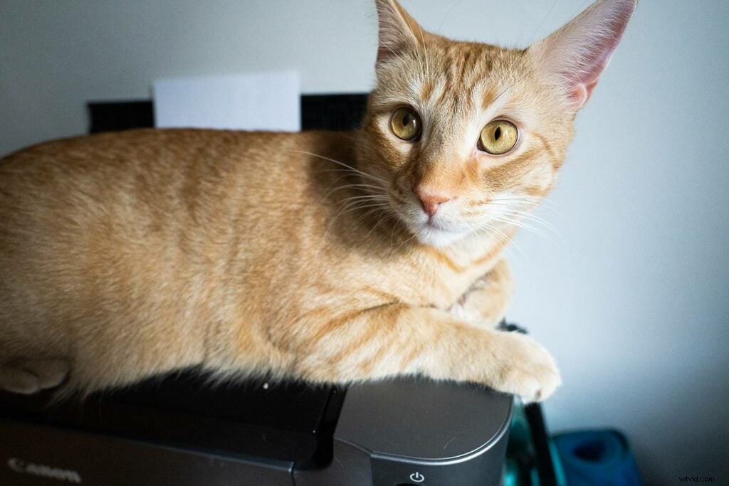 Sony FE 20mm F1.8 G: First Sample Shots and Hands-On Review of the Compact Wide-Angle Prime