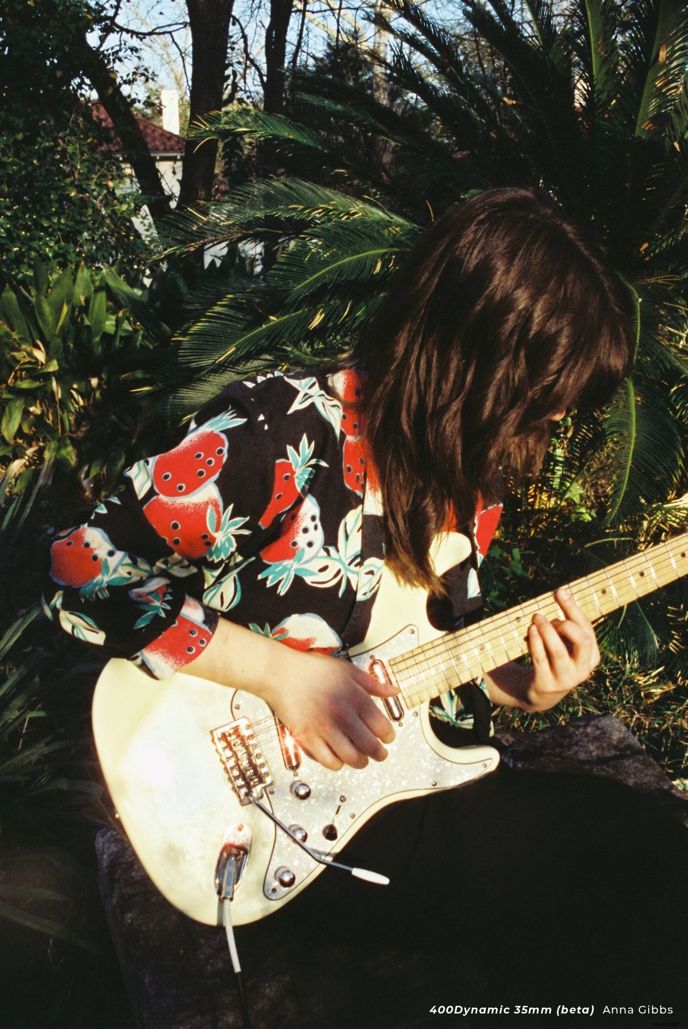 Introducing CineStill 400Dynamic: Daylight-Balanced ISO 400 Color Film Launches via Crowdfunding