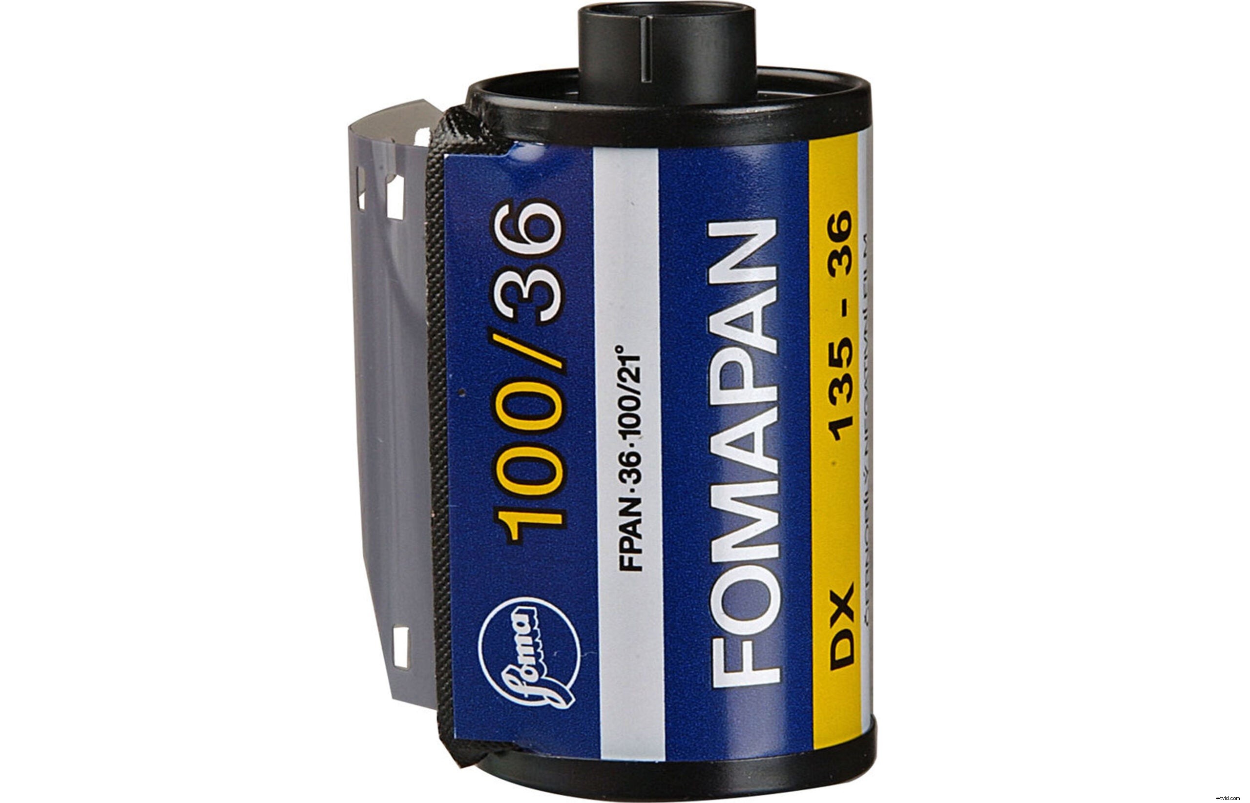 Top 5 Affordable Film Stocks We Love: Exceptional Results on a Budget