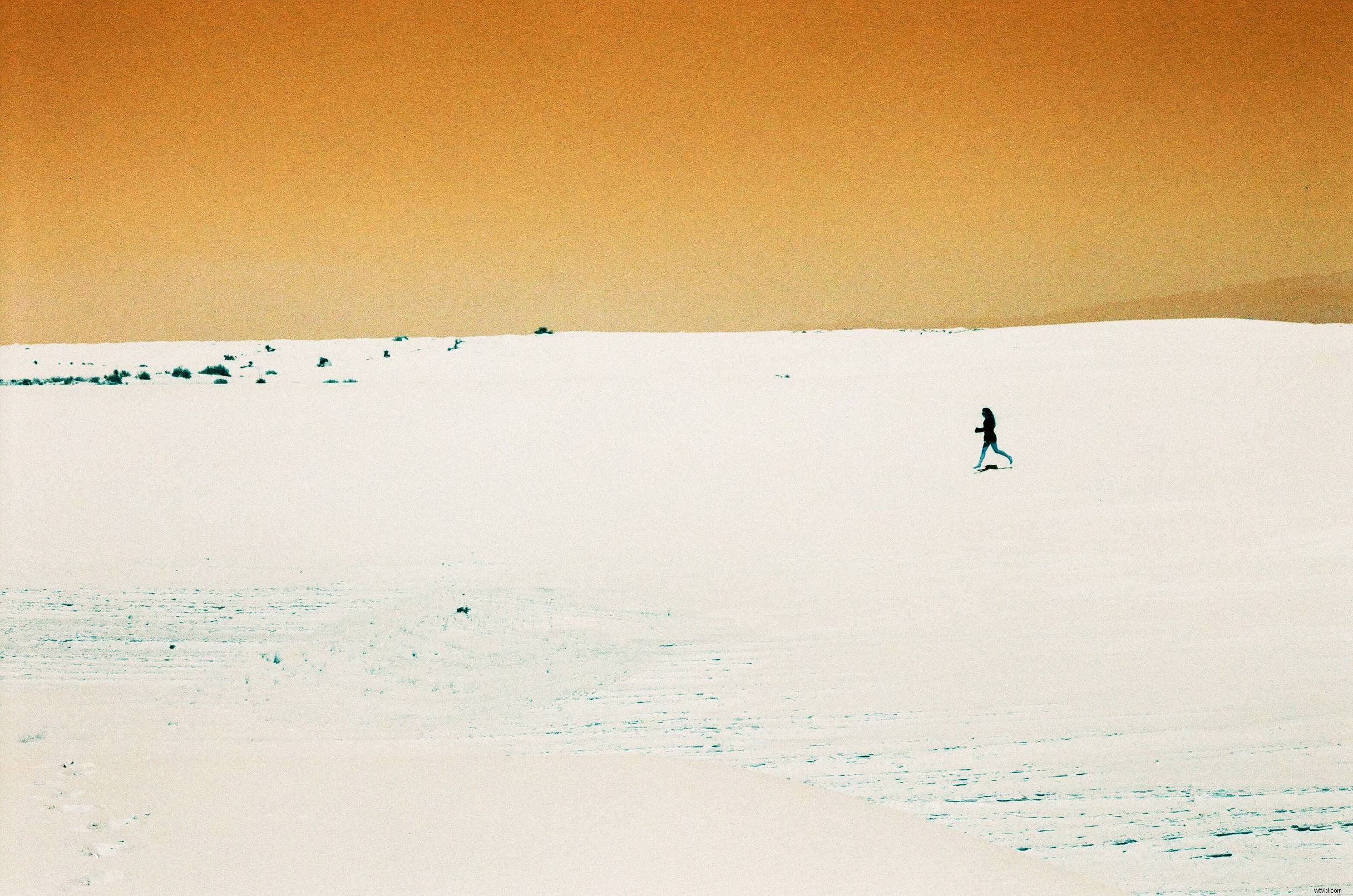 Lomography Relaunches Iconic LomoChrome Turquoise XR 100-400 Film