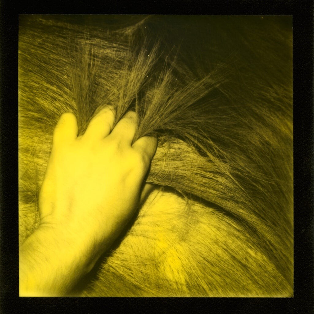 Impossible Project s Third Man Records Edition: Black & Yellow Instant Film Now Available