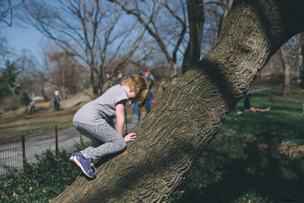 Totally Rad Replichrome III Review: Authentic Archive Film Emulation Presets for Lightroom