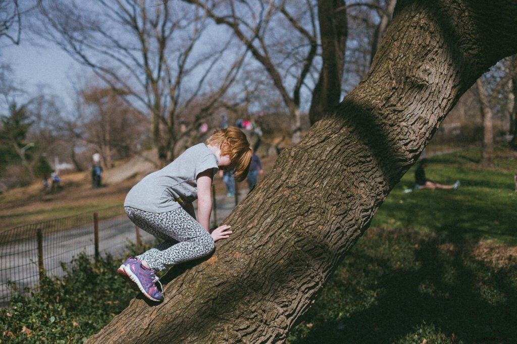 Totally Rad Replichrome III Review: Authentic Archive Film Emulation Presets for Lightroom