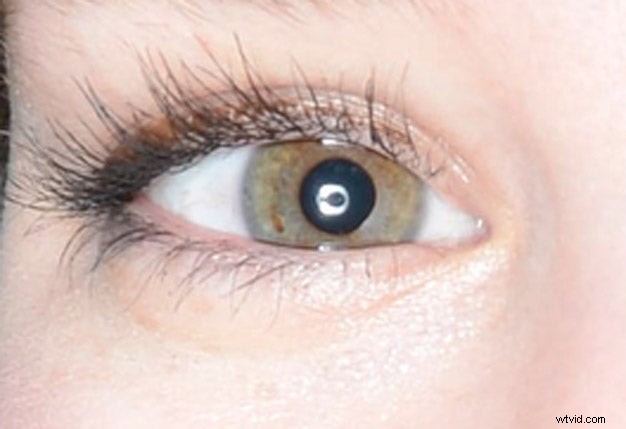 Ray Flash 2 Review: Hands-On Video and Expert Insights on Speedlight Ring Light Modifier