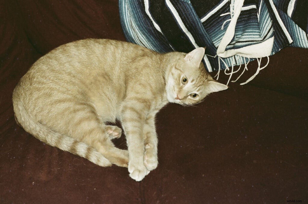 Lomography LomoChrome Metropolis R 100-400: First Impressions and Sample Images