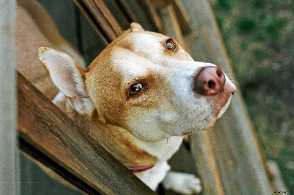 Must-Shoot Film Stocks Before They re Gone Forever