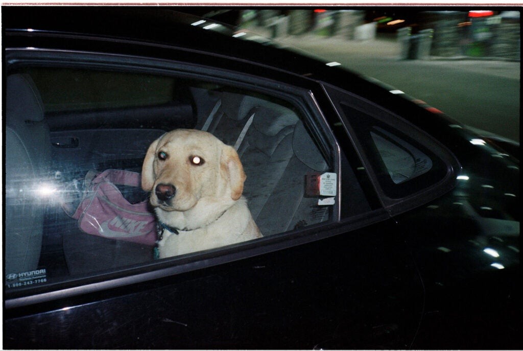 Cinestill Unveils Powdered Cs41 & Df96 Film Developing Kits: Simpler Use, Cheaper Shipping