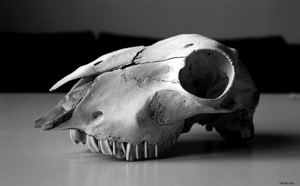 Film Ferrania P30: Reviving the Iconic 1960s Cinematic Black-and-White Film