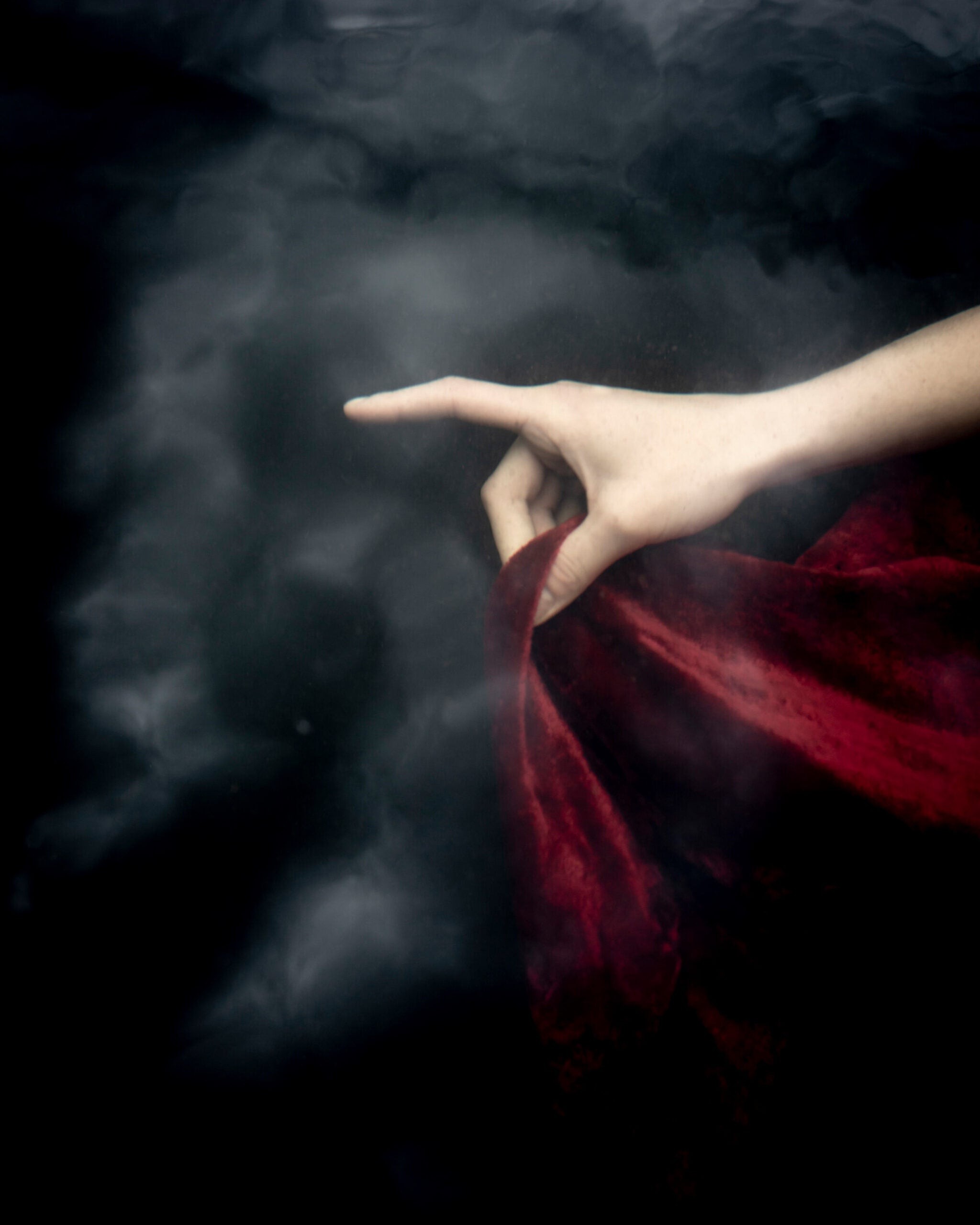 Cig Harvey s  Blue Violet : Capturing Grief Through Vibrant Floral Beauty