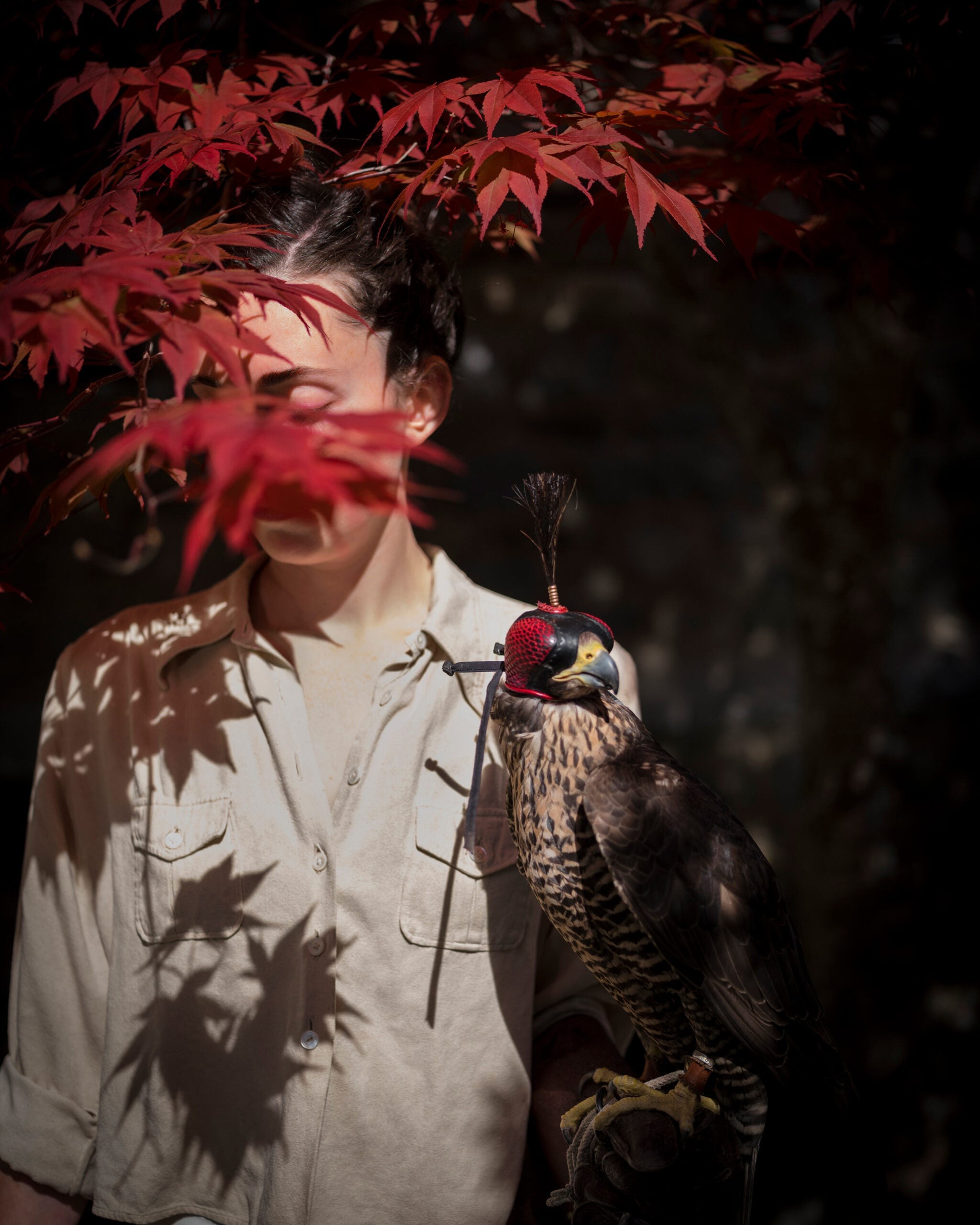 Cig Harvey s  Blue Violet : Capturing Grief Through Vibrant Floral Beauty