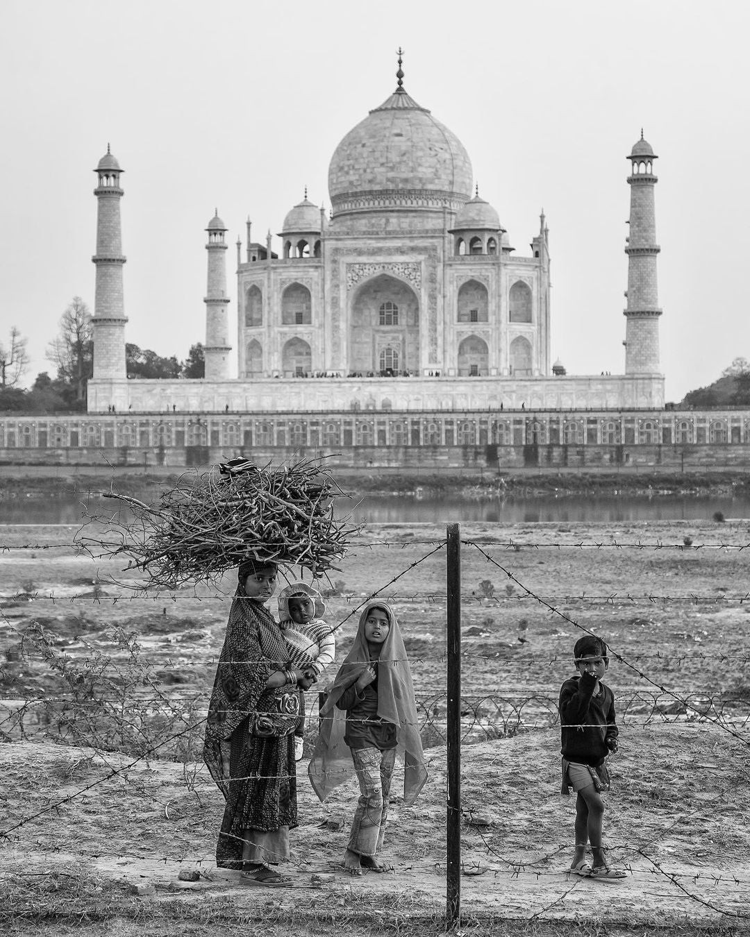 Discover This Week s Top Reader-Submitted Photos of the Day